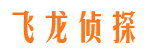 江汉婚外情调查取证